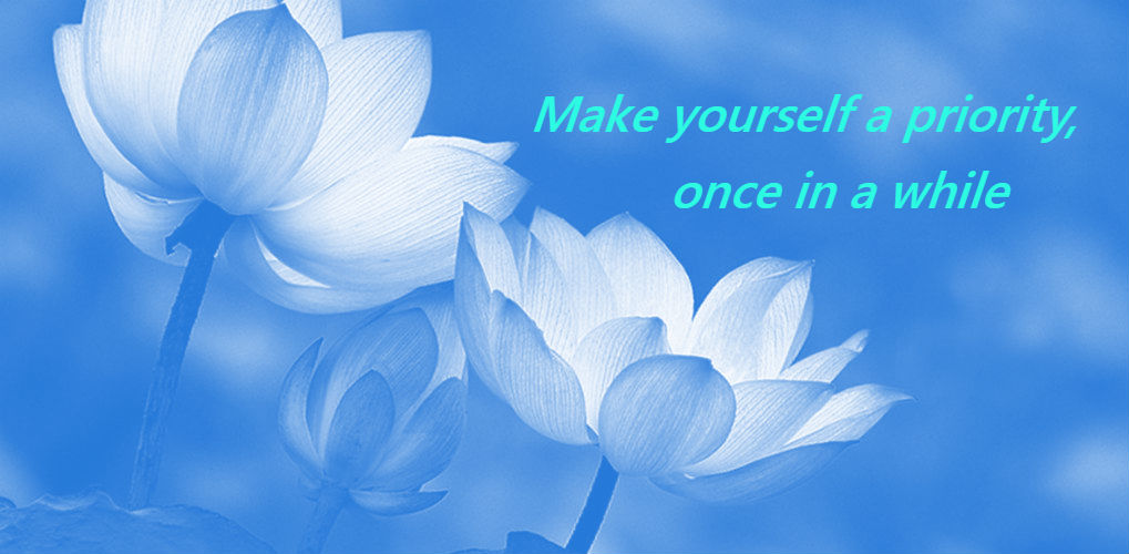 lotus1019x500over mij